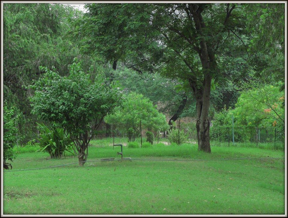 Hotel Bharatpur Ashok Exterior photo